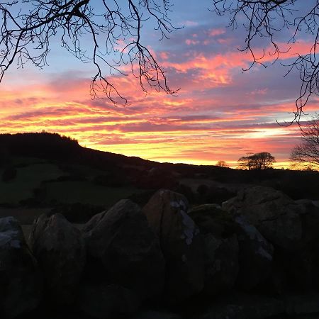 Slievemoyle Cottages Raholp Bagian luar foto