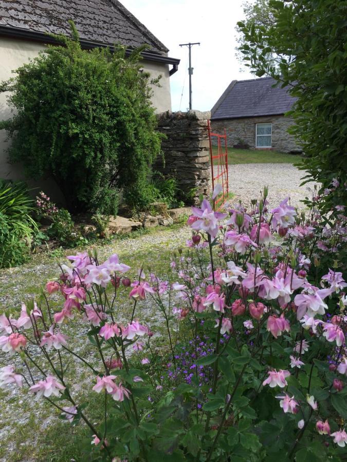 Slievemoyle Cottages Raholp Bagian luar foto