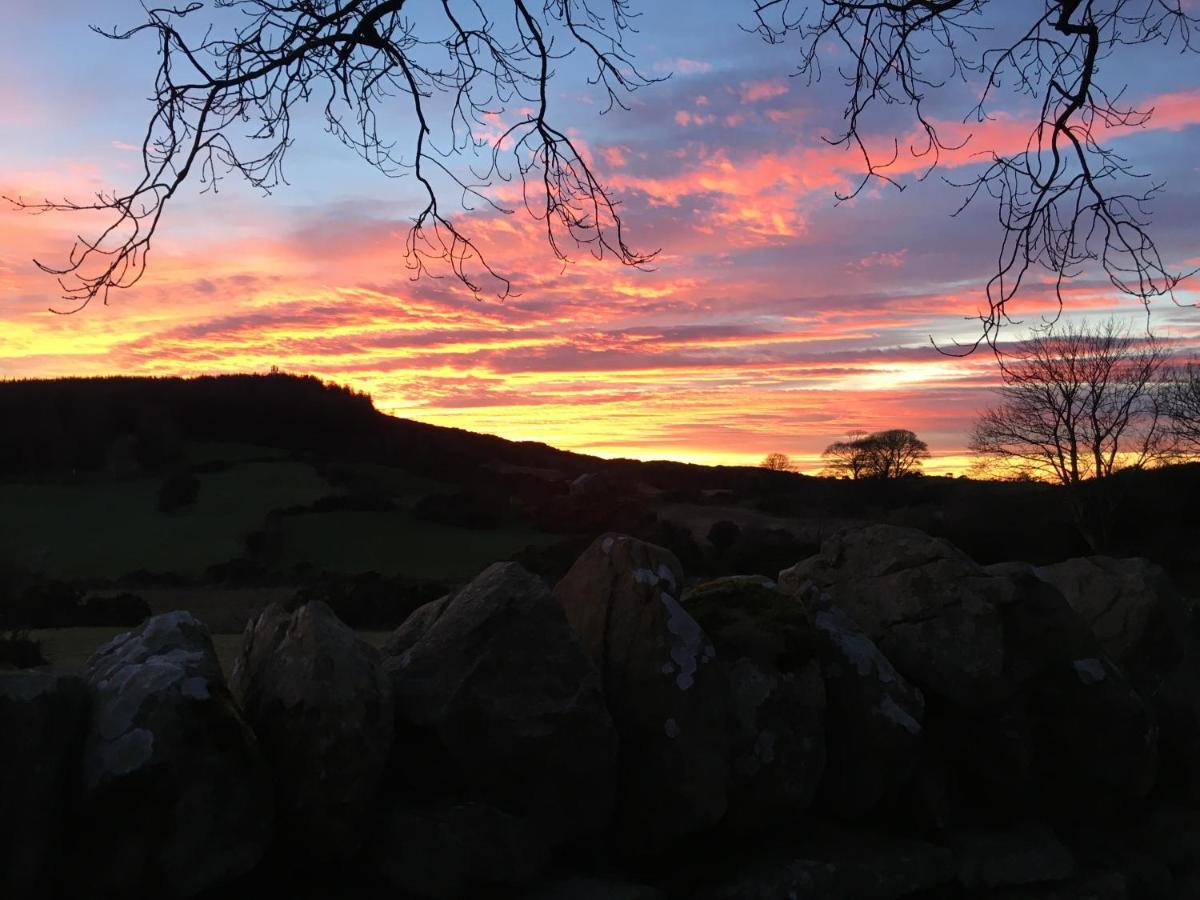 Slievemoyle Cottages Raholp Bagian luar foto