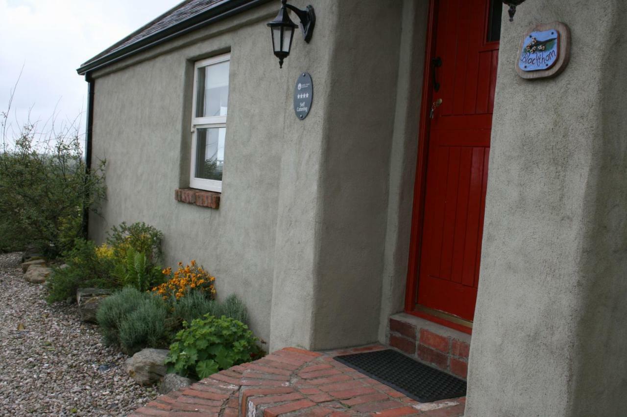 Slievemoyle Cottages Raholp Bagian luar foto